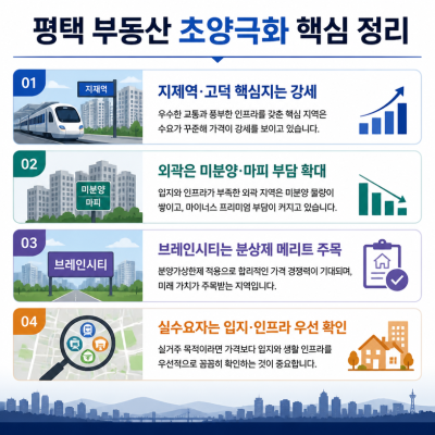 평택 부동산 초양극화 핵심 정리