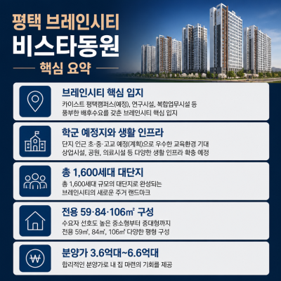 평택 브레인시티 실거주 핵심 분양정보 정리