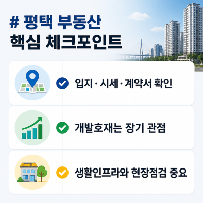 평택 부동산 핵심 체크포인트 한눈에 정리