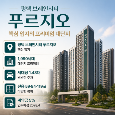 브레인시티 핵심입지와 대단지 프리미엄