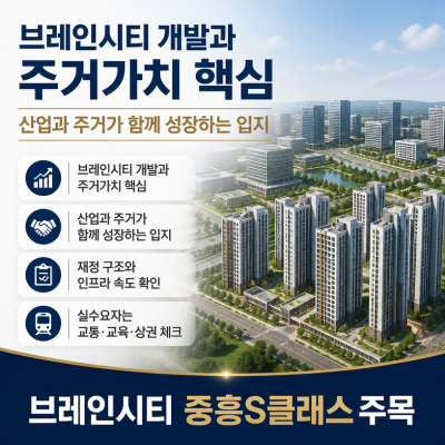 브레인시티 분양과 재정 쟁점 핵심 정리
